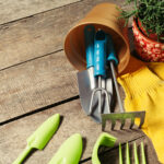 Best Garden Hand Tools for Beginners