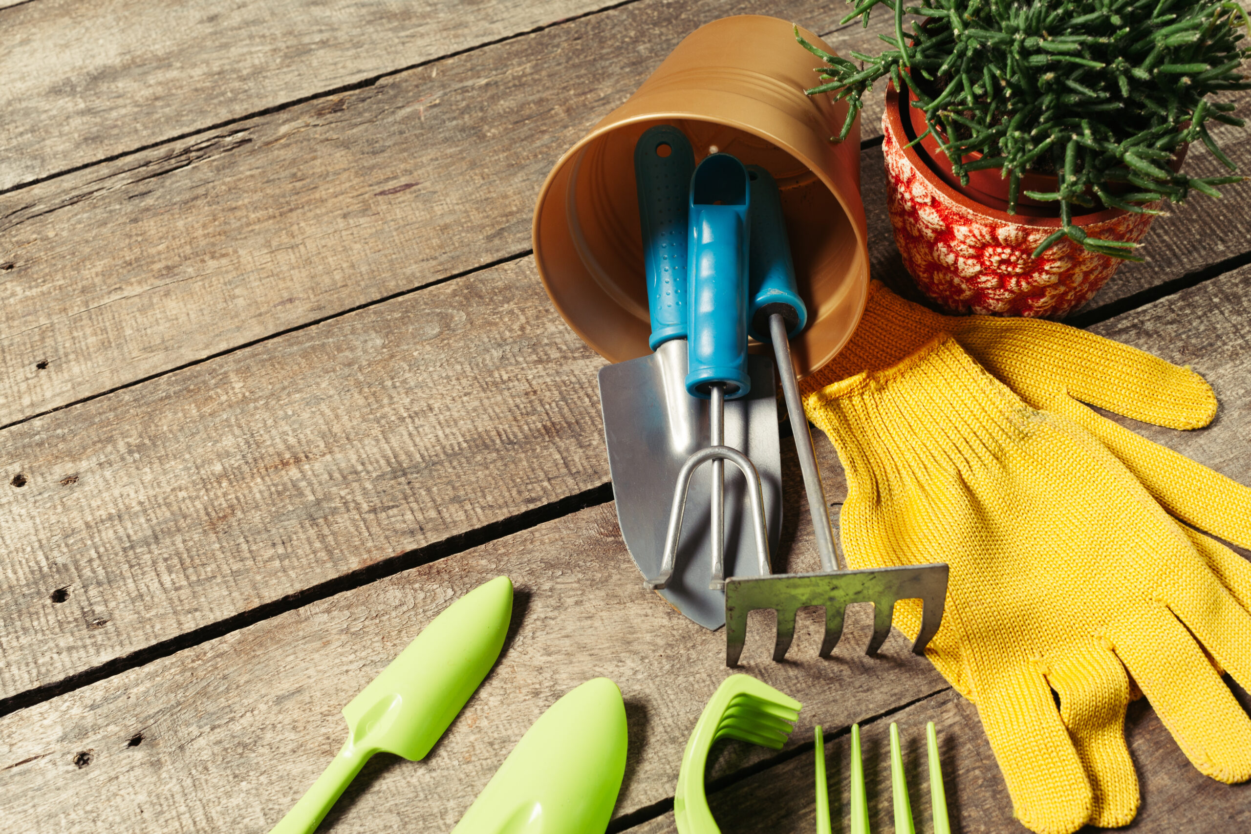 Best Garden Hand Tools for Beginners